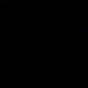 Meet your Posher, Riley